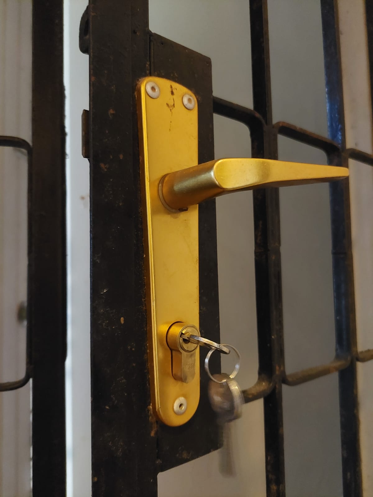 Mortise Maindoor gate 1